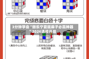 3分钟学会“微乐宁夏捉麻子必赢神器”2026透视开挂