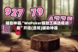 辅助神器“WePoker辅助工具透视功能”开挂(透视)辅助神器