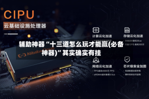 辅助神器“十三道怎么玩才能赢(必备神器)”其实确实有挂