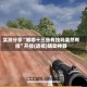 实测分享“嘟嘟十三张有挂吗果然有挂”开挂(透视)辅助神器