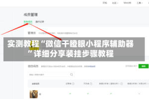 实测教程“微信干瞪眼小程序辅助器”详细分享装挂步骤教程