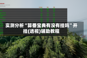 实测分析“算番宝典有没有挂吗”开挂(透视)辅助教程