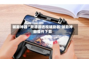 辅助神器“新道游透视辅助器!辅助神器插件下载