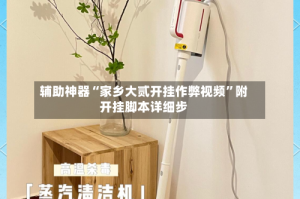 辅助神器“家乡大贰开挂作弊视频”附开挂脚本详细步