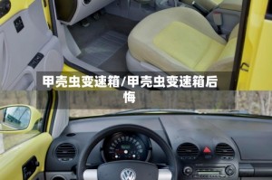 甲壳虫变速箱/甲壳虫变速箱后悔