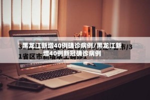 黑龙江新增40例确诊病例/黑龙江新增40例新冠确诊病例