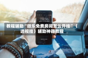 教程辅助“微乐免费房间怎么开挂”（透视挂）辅助神器教程