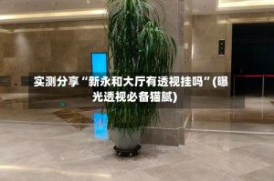实测分享“新永和大厅有透视挂吗”(曝光透视必备猫腻)