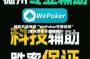 辅助开挂神器“WePoker作弊视频”(曝光透视必备猫腻)