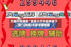 万能开挂辅助“皇豪大厅开挂神器下载”(透视)开挂详细教程