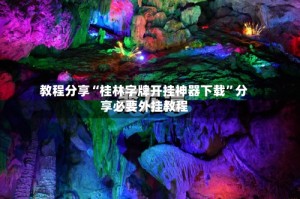 教程分享“桂林字牌开挂神器下载”分享必要外挂教程