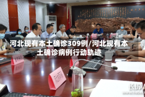 河北现有本土确诊309例/河北现有本土确诊病例行动轨迹
