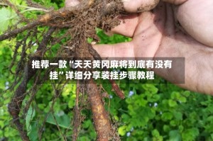 推荐一款“天天黄冈麻将到底有没有挂”详细分享装挂步骤教程