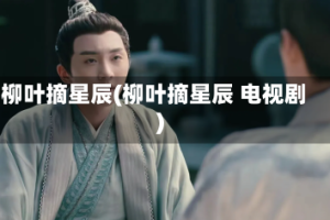 柳叶摘星辰(柳叶摘星辰 电视剧)