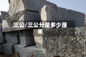 三公/三公分是多少厘米