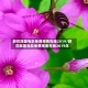 野花韩国电影免费观看在线2019/野花韩国电影免费观看在线2019年