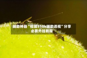 辅助神器“榕城510k辅助透视”分享必要外挂教程