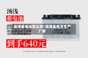 汤浅蓄电池怎么样/汤浅蓄电池生产厂家