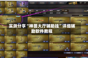 实测分享“神兽大厅辅助挂”详细辅助软件教程