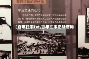 【百年往事txt,百年往事左爷结局】