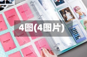 4图(4图片)