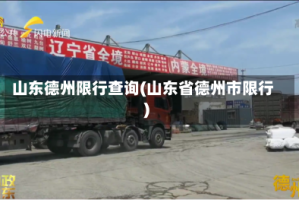山东德州限行查询(山东省德州市限行)