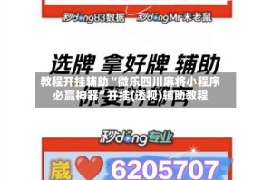教程开挂辅助“微乐四川麻将小程序必赢神器”开挂(透视)辅助教程