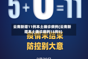 云南新增11例本土确诊病例(云南新增本土确诊病例15例9)
