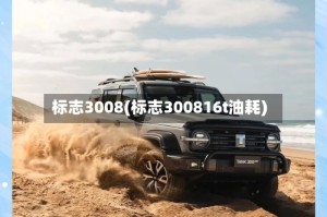 标志3008(标志300816t油耗)