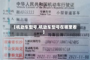 【机动车型号,机动车型号在哪里看】