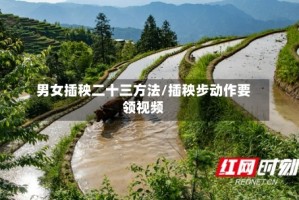 男女插秧二十三方法/插秧步动作要领视频