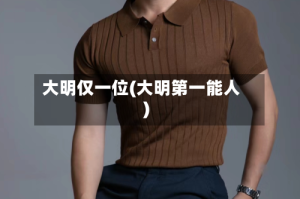大明仅一位(大明第一能人)