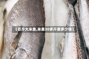 【百斤大米鱼,米鱼30多斤要多少钱】