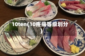 10ten(10疼痛等级划分)