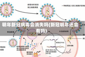 明年新冠病毒会消失吗(新冠明年还会有吗)