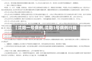 【沈阳一号病例,沈阳1号病例行程】