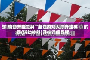 辅助开挂工具“浙江游戏大厅开挂神器(辅助神器)开挂详细教程