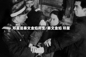 邓星是秦文金焰所生/秦文金焰 邓星