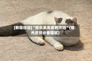 [教程经验]“微乐亲友房有挂吗”(曝光透视必备猫腻)