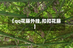 【qq花藤外挂,扣扣花藤】
