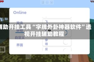 辅助开挂工具“字牌外卦神器软件”透视开挂辅助教程