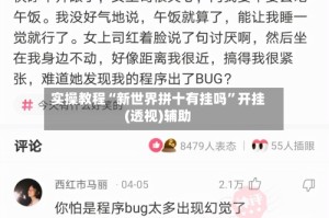 实操教程“新世界拼十有挂吗”开挂(透视)辅助