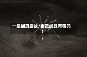 一袋幽灵蜘蛛/幽灵蜘蛛有毒吗?
