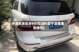 宁波车牌是浙B价位(浙b是宁波哪里的牌照)