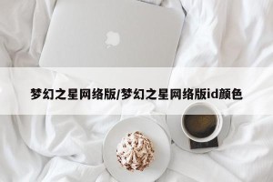梦幻之星网络版/梦幻之星网络版id颜色