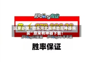 玩家必搜“微乐河北麻将助赢神器购买”原来有神器下载！