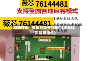 辅助神器“微乐万能开挂器”(原来确实是有插件)