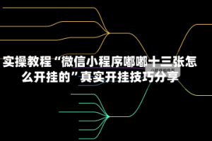 实操教程“微信小程序嘟嘟十三张怎么开挂的”真实开挂技巧分享
