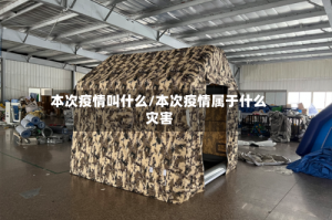 本次疫情叫什么/本次疫情属于什么灾害