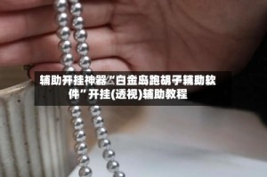 辅助开挂神器“白金岛跑胡子辅助软件”开挂(透视)辅助教程
